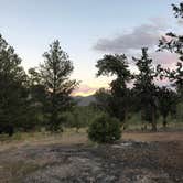 Review photo of Dispersed camping FSR 239 by Courtney L., September 2, 2019