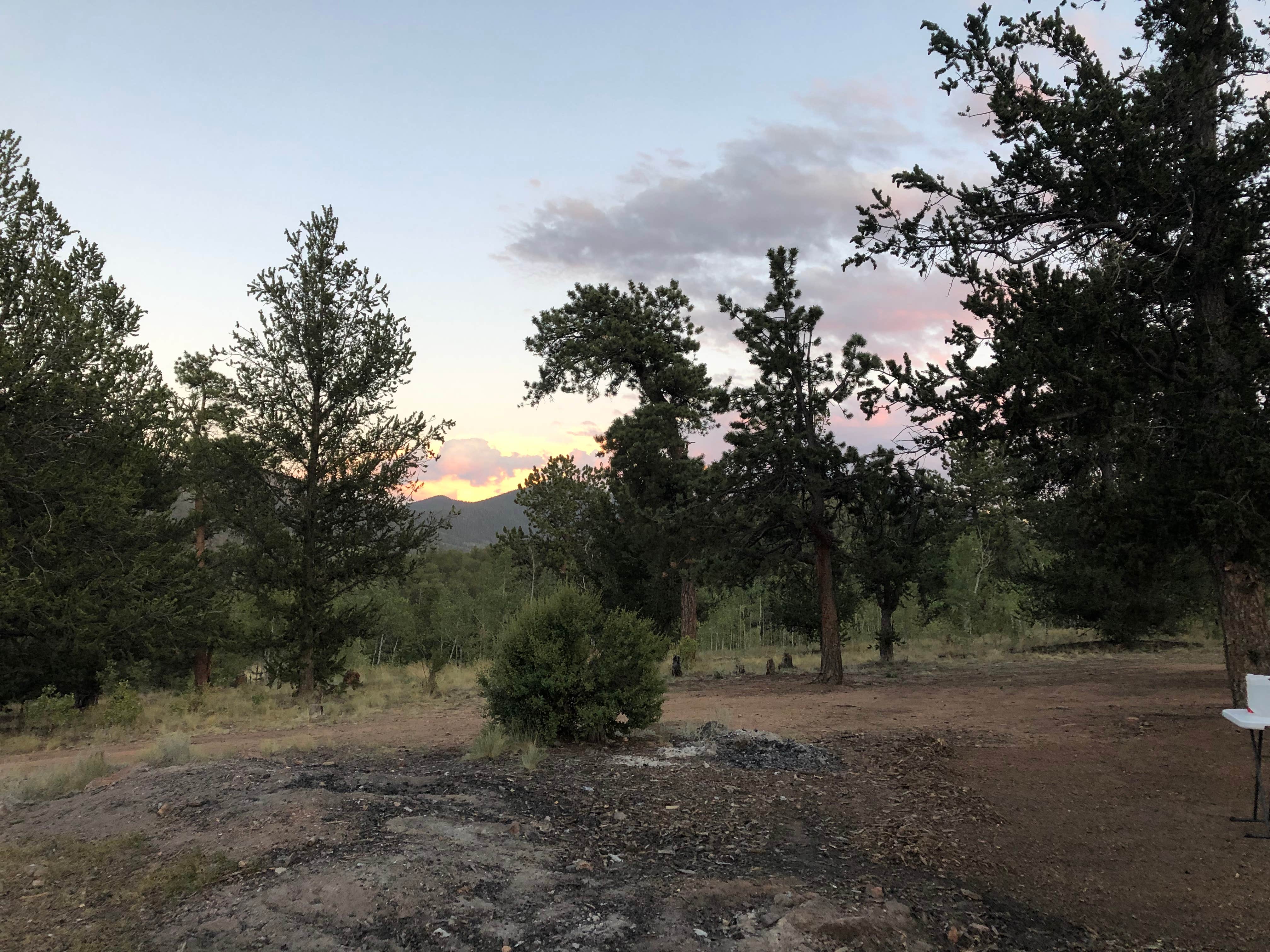 Camper submitted image from Dispersed camping FSR 239 - 3