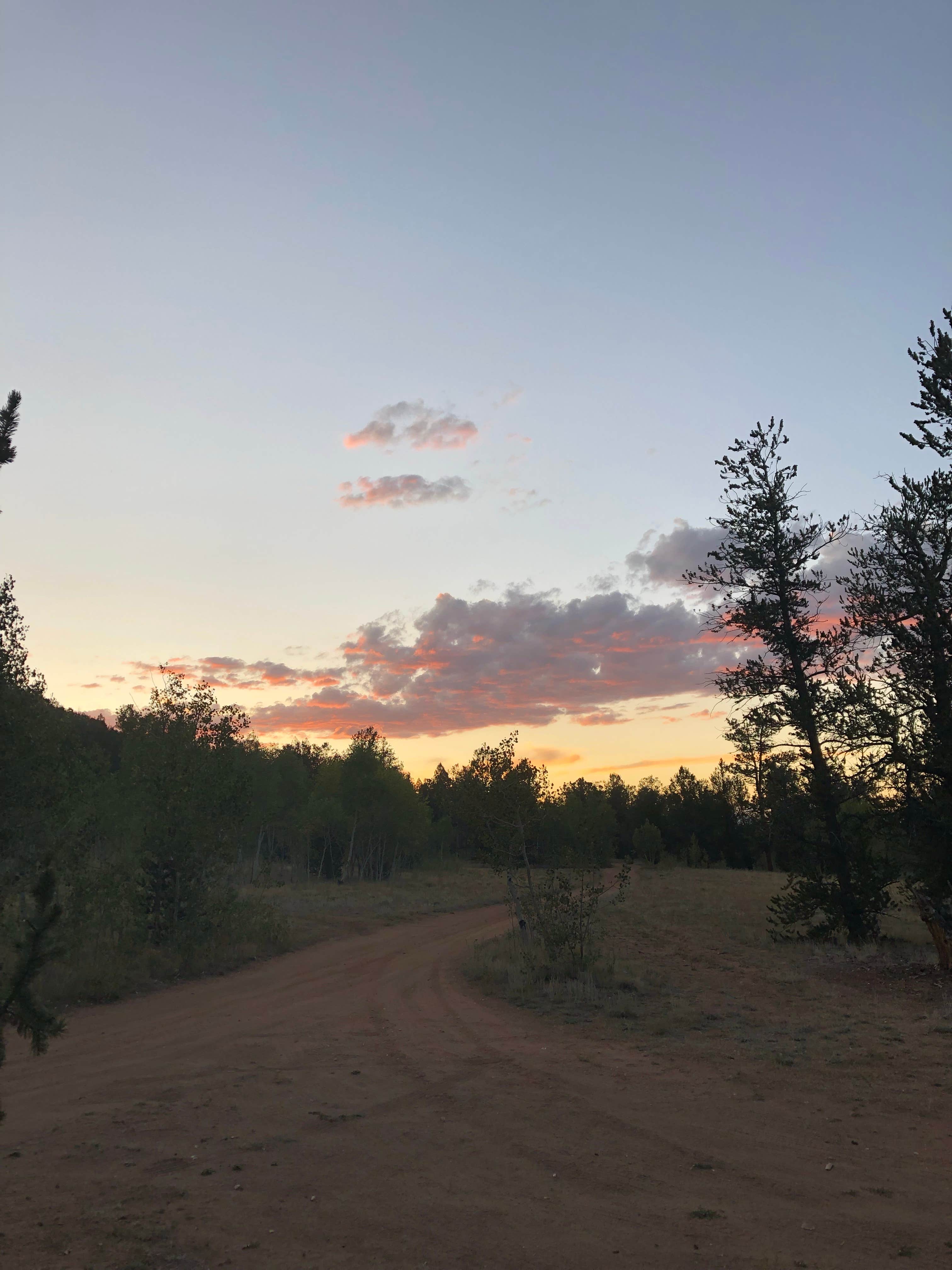 Courtney L.'s photo of a dispersed camping area at Dispersed camping FSR 239 near Hartsel, CO