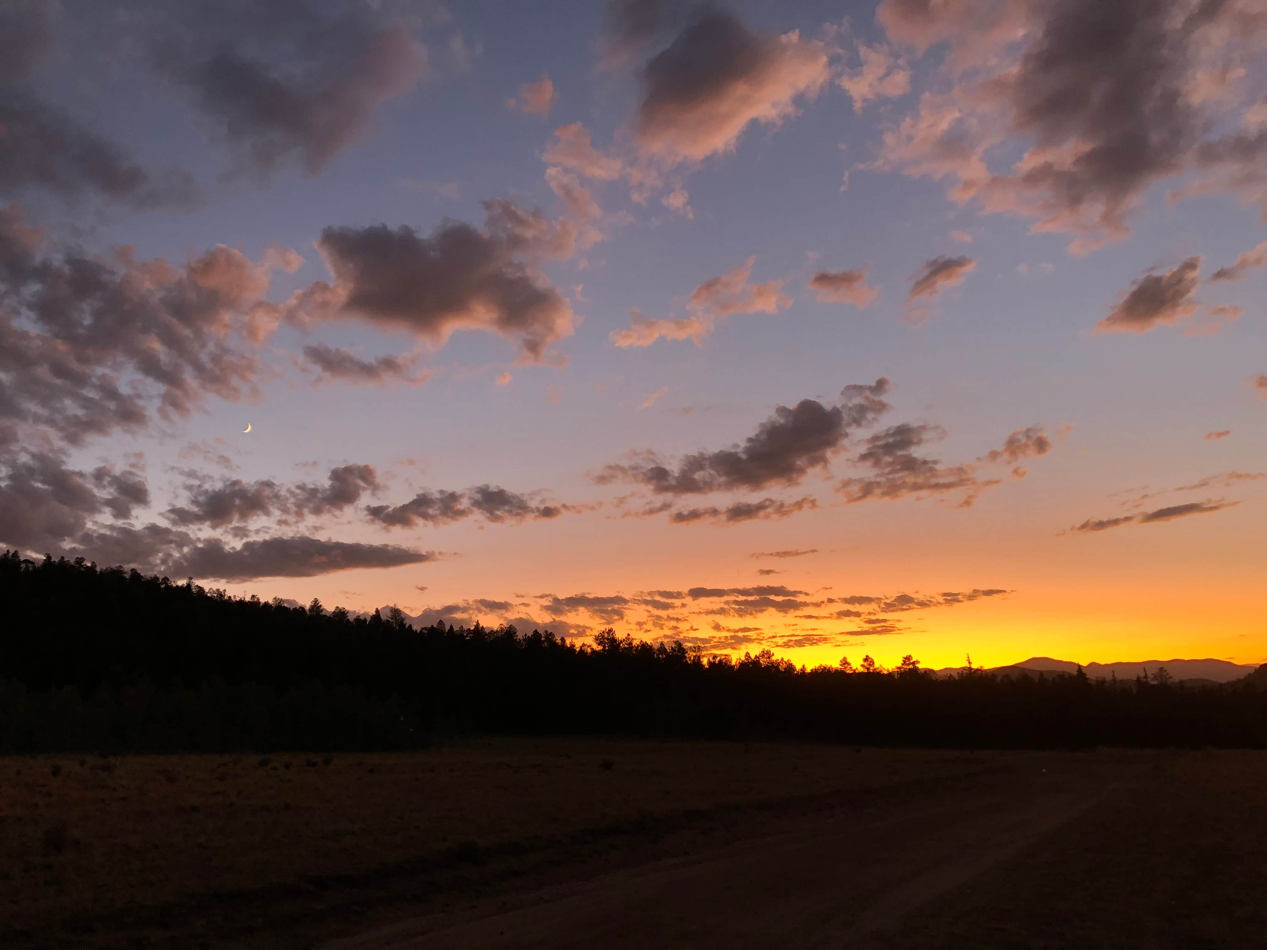 Courtney L.'s photo of a dispersed camping area at Dispersed camping FSR 239 near Buffalo Creek, CO