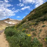 Review photo of Fourmile Campground by Michelle N., September 2, 2019