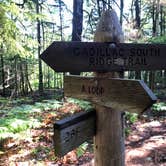 Review photo of Blackwoods Campground — Acadia National Park by Rae M., September 2, 2019