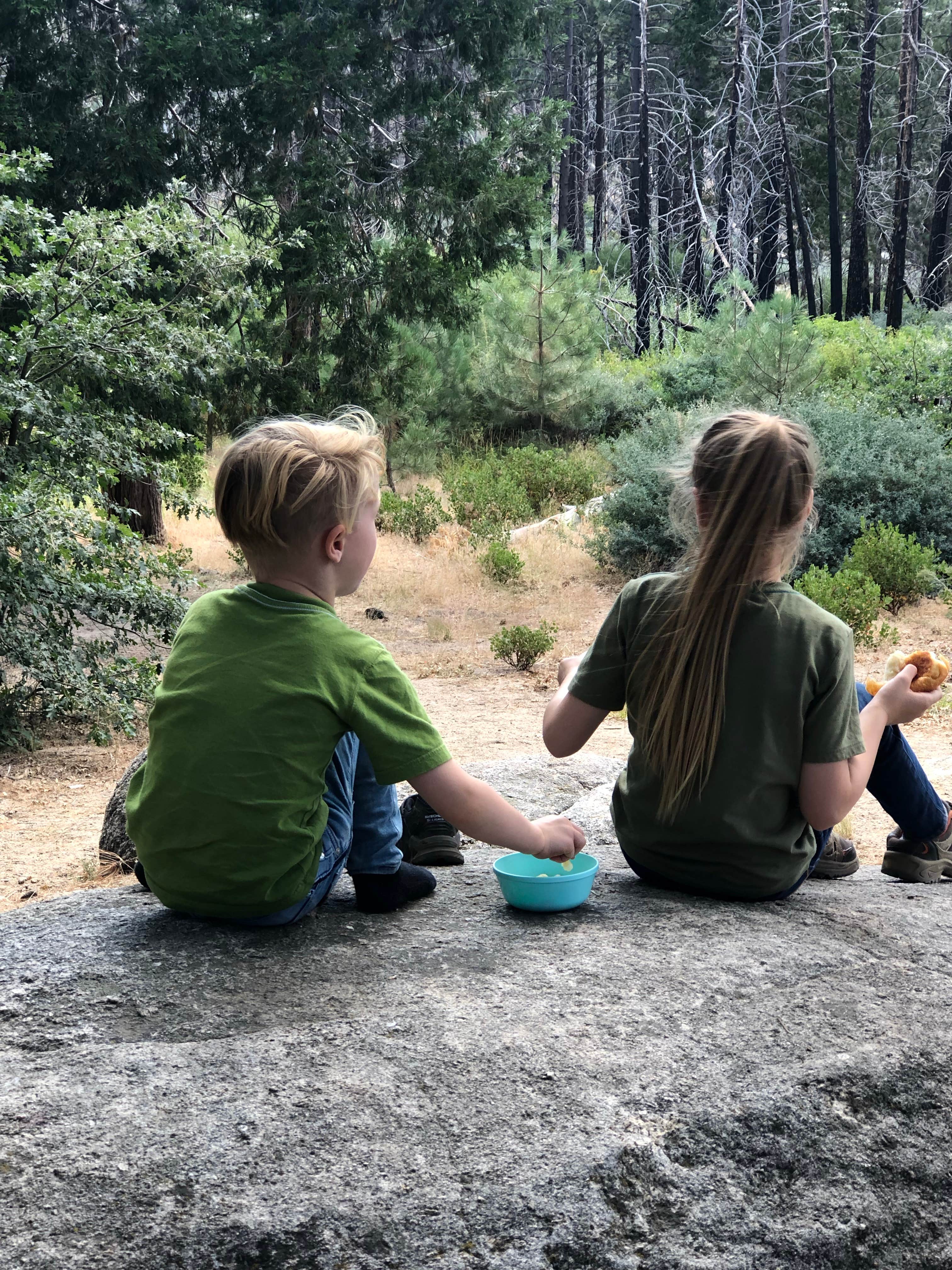 Camping near Big Pine Flat Campground: Hanna Flat Campground, Fawnskin, California