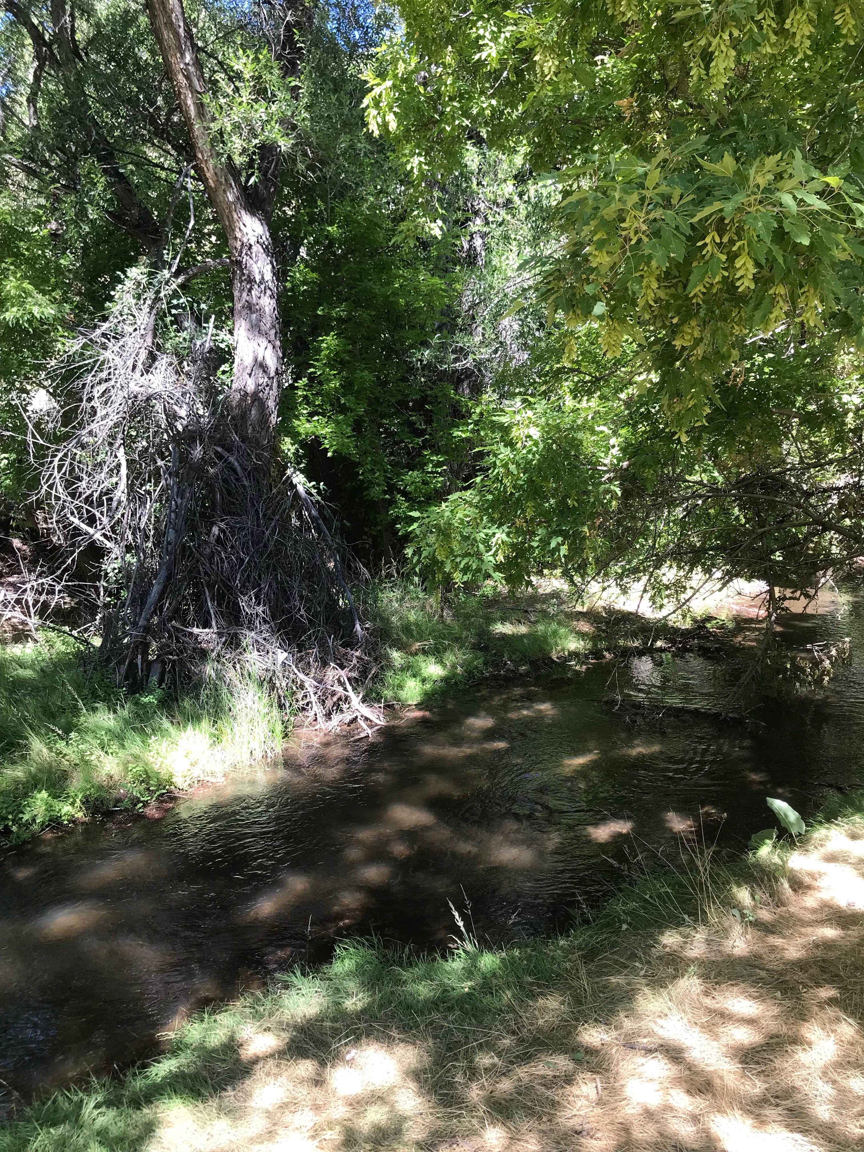 Echo Canyon Campground - CLOSED