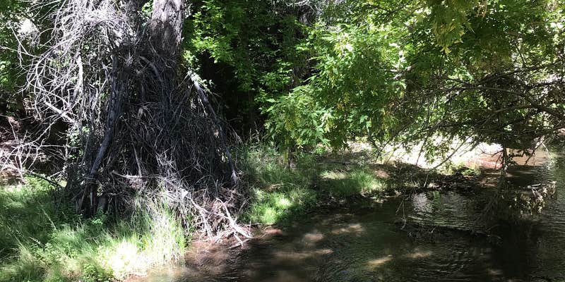 Camper submitted image from Echo Canyon Campground - CLOSED