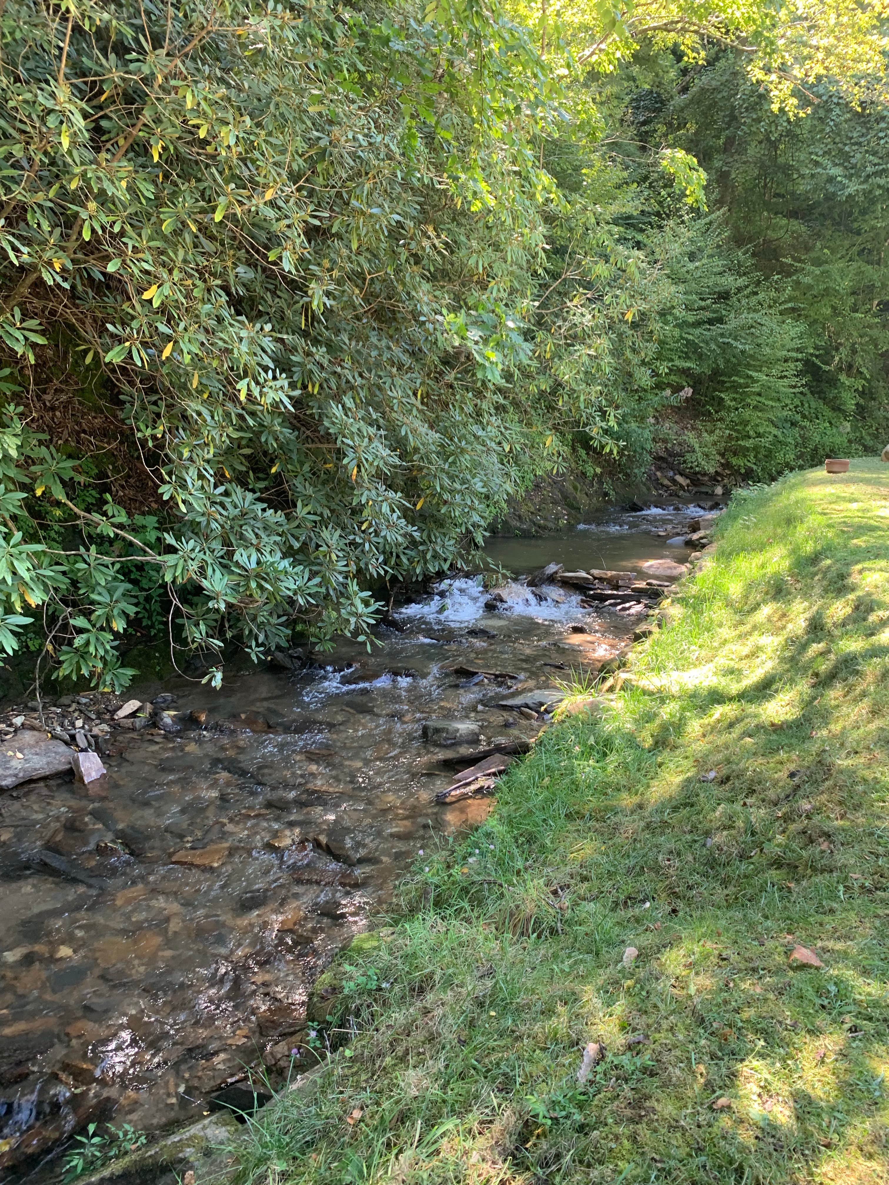 Camper submitted image from Nantahala Tiny Homes & RV Park - 5