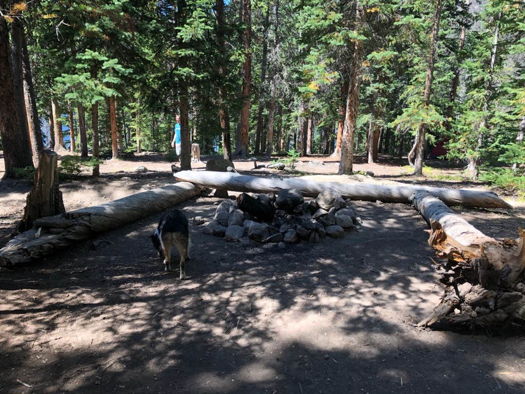 Camper-submitted photo at Chambers Lake Campground near Gould, CO
