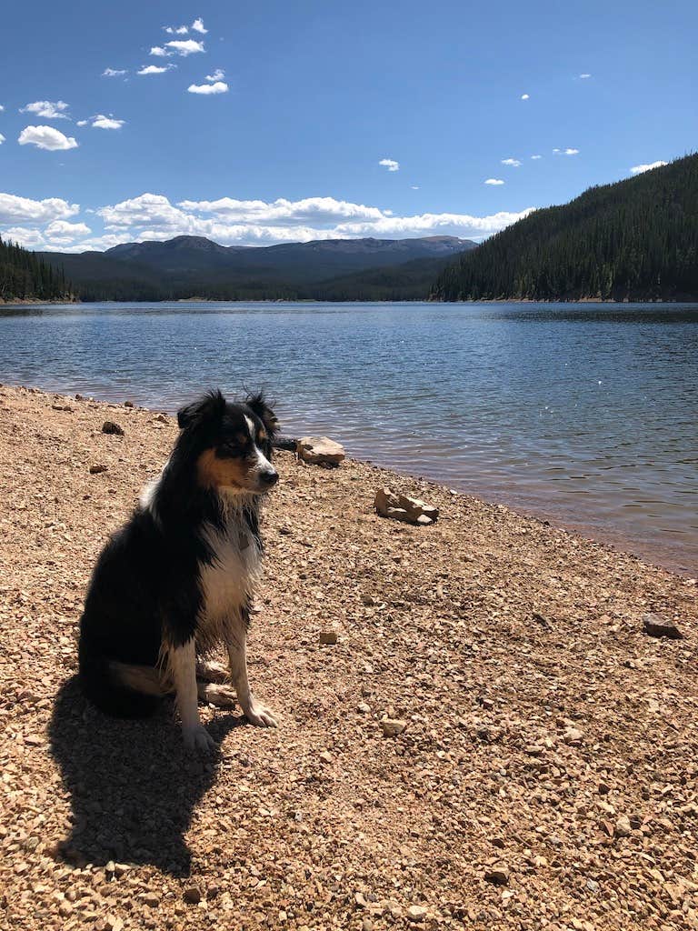 Camper submitted image from Chambers Lake Campground - 3