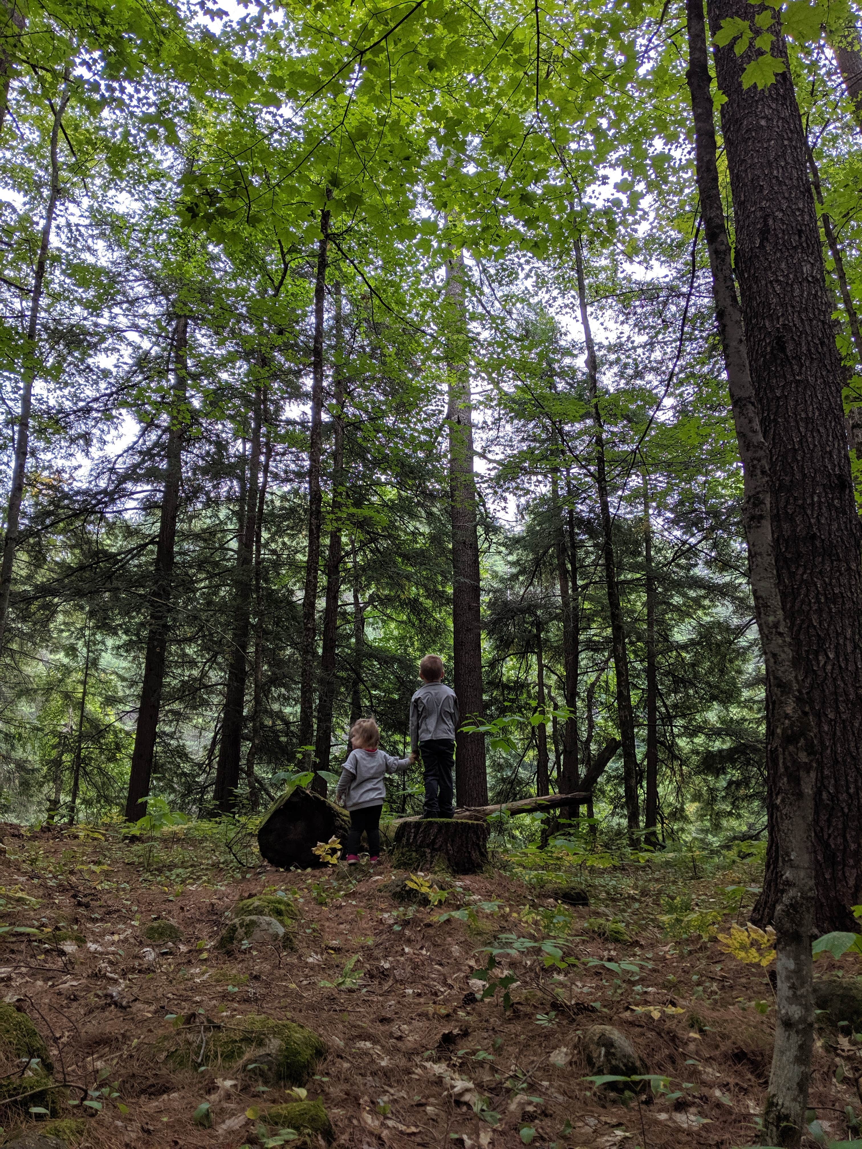 Camper submitted image from Sacandaga Adirondack Preserve - 2