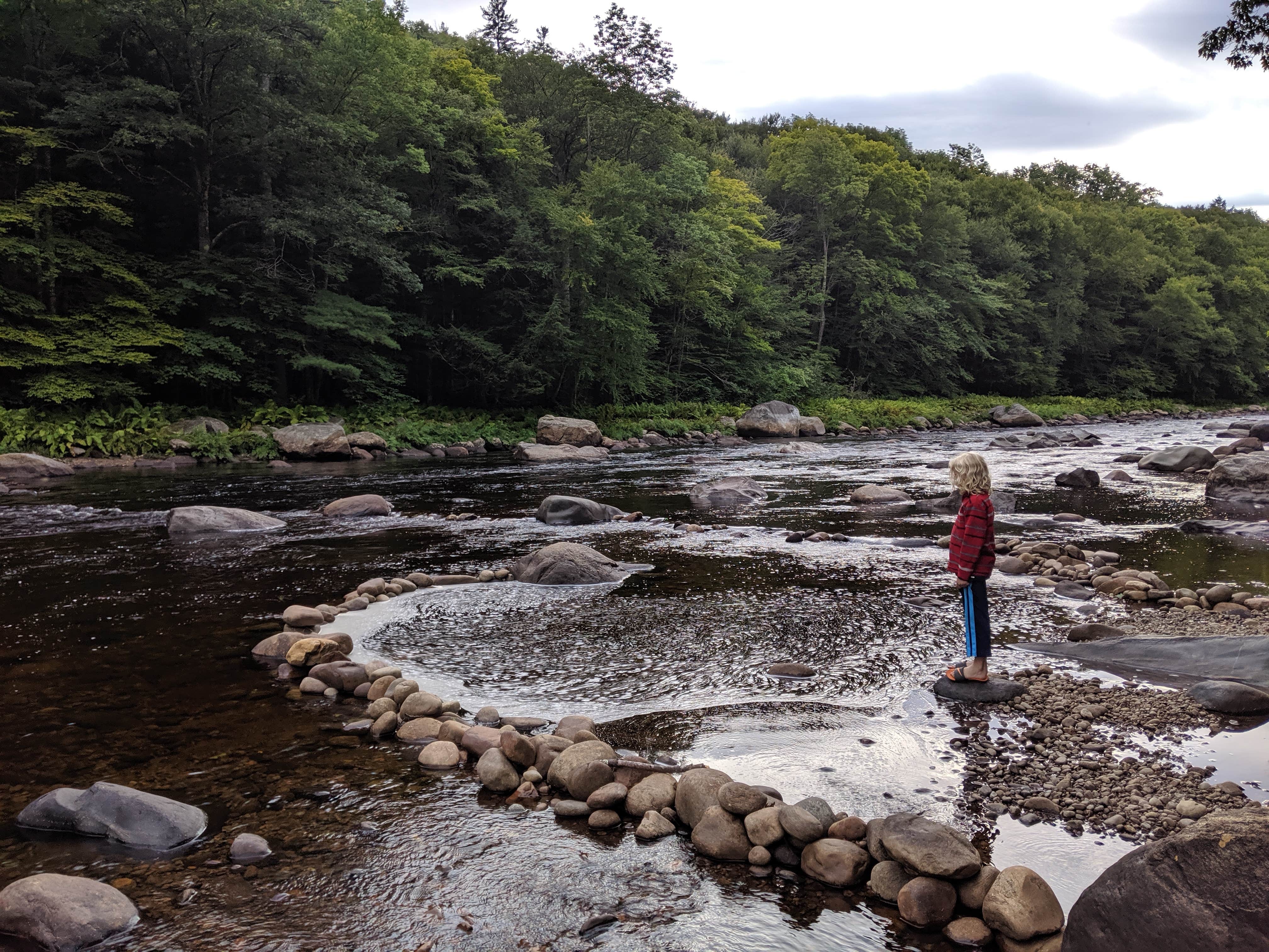 Camper submitted image from Sacandaga Adirondack Preserve - 1