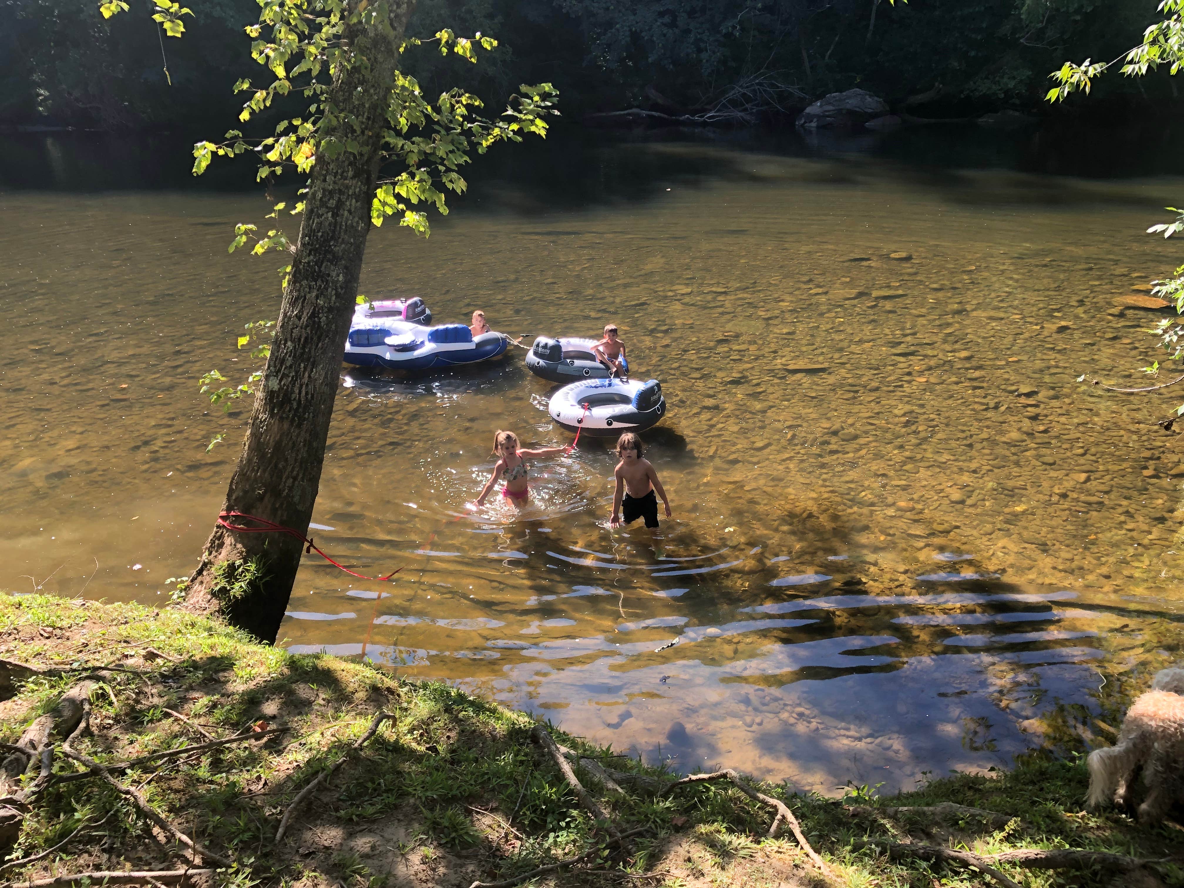 Camper-submitted photo at Pigeon River Campground near Hartford, TN