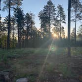 Review photo of Fr 195 Campground by Andrew B., September 3, 2019