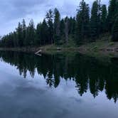 Review photo of Fr 195 Campground by Andrew B., September 3, 2019