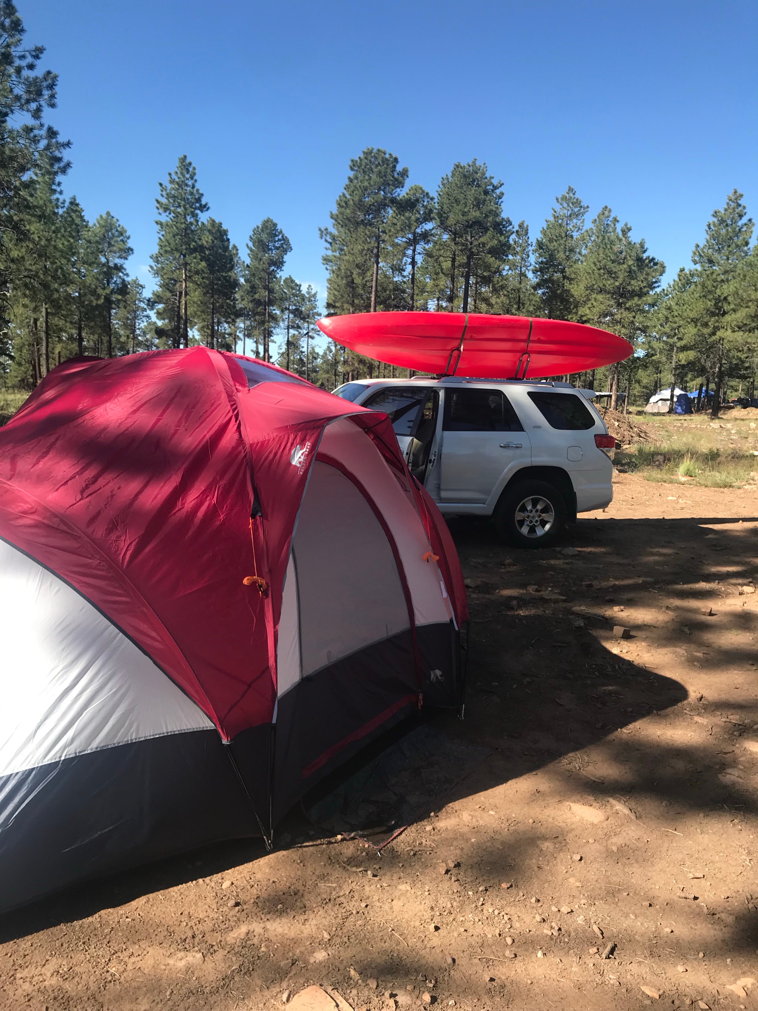 Camper submitted image from Fr 195 Campground - 5