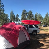 Review photo of Fr 195 Campground by Andrew B., September 3, 2019
