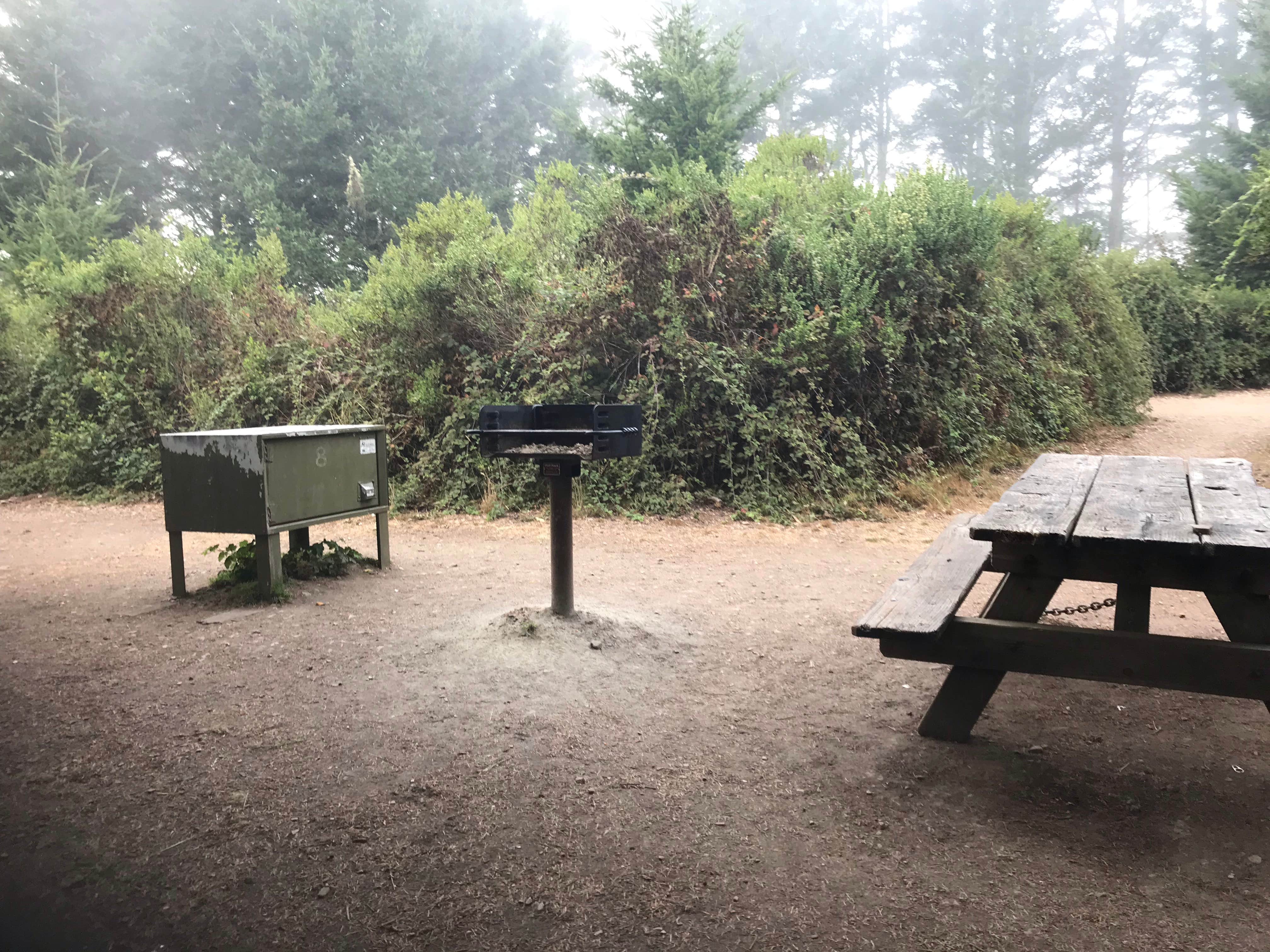 Camper-submitted photo at Sky Campground — Point Reyes National Seashore near Larkspur, CA