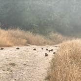 Review photo of Sky Campground — Point Reyes National Seashore by Gustavo M., September 2, 2019