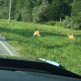 Review photo of Rend Lake by J K., September 3, 2019