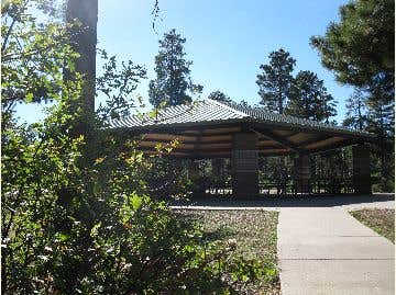 Camper submitted image from Crook Campground - 4