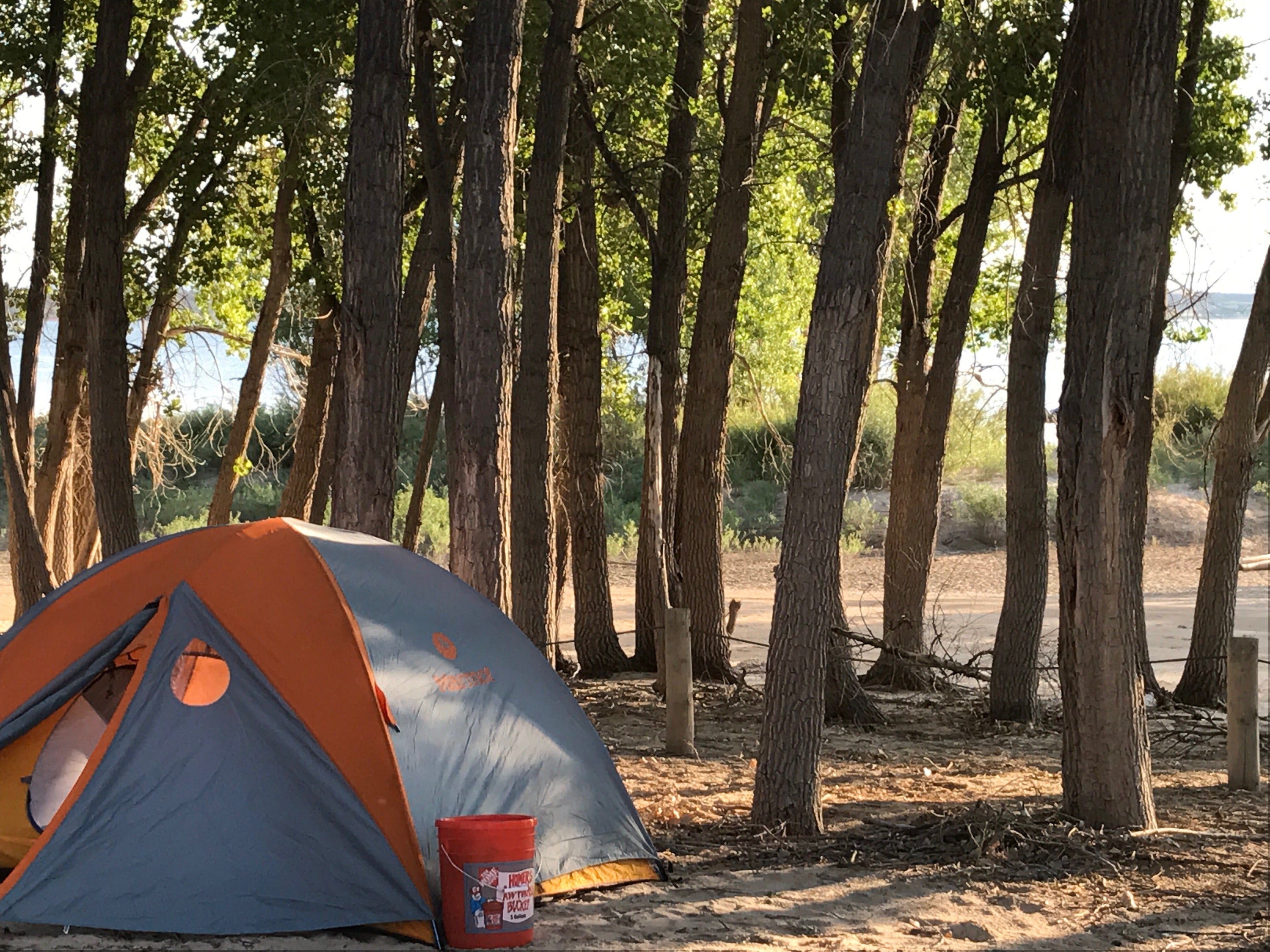 Camper submitted image from Sandy Beach Dune and Willow — Glendo State Park - 3