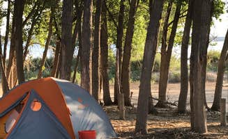 Holly R.'s photo at Sandy Beach Dune and Willow — Glendo State Park near Fort Laramie, WY
