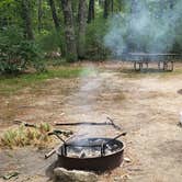 Review photo of Greenfield State Park Campground by Matt R., September 3, 2019