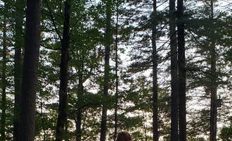 Camping near Willard Brook State Forest: Greenfield State Park Campground, Bennington, New Hampshire