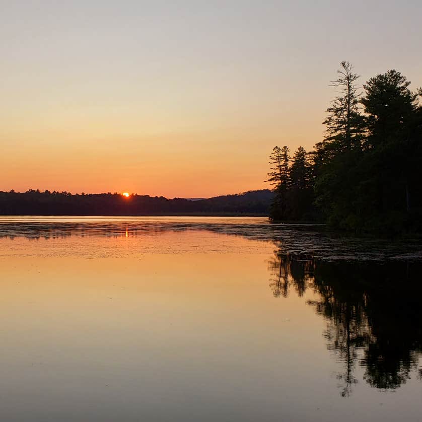 Greenfield State Park Camping The Dyrt