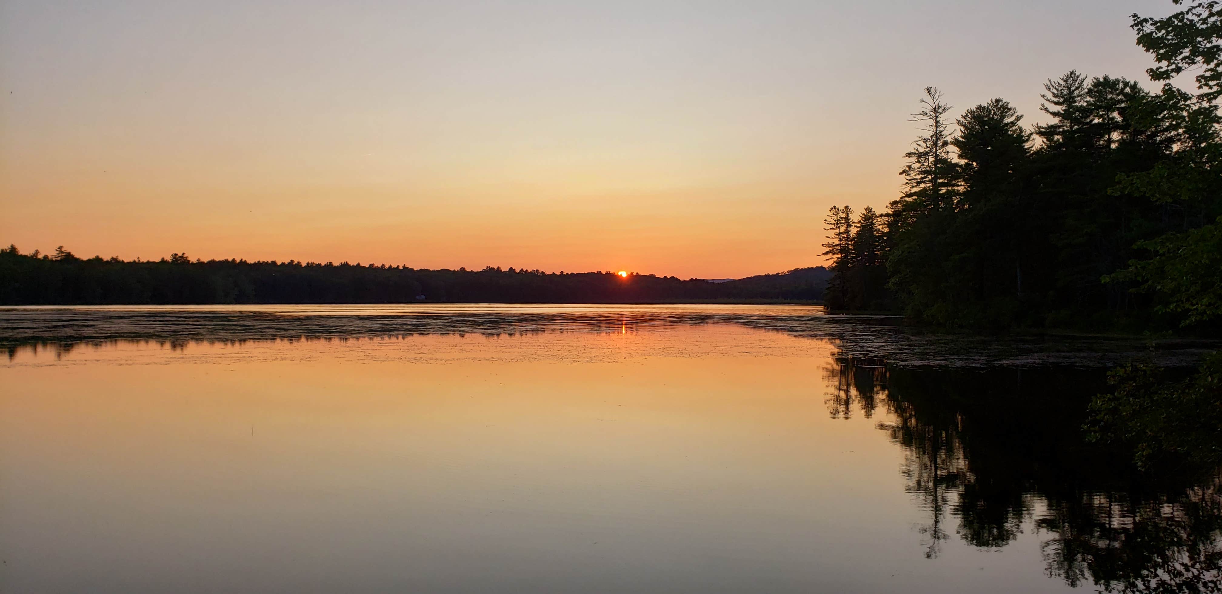 Camper submitted image from Greenfield State Park Campground - 2