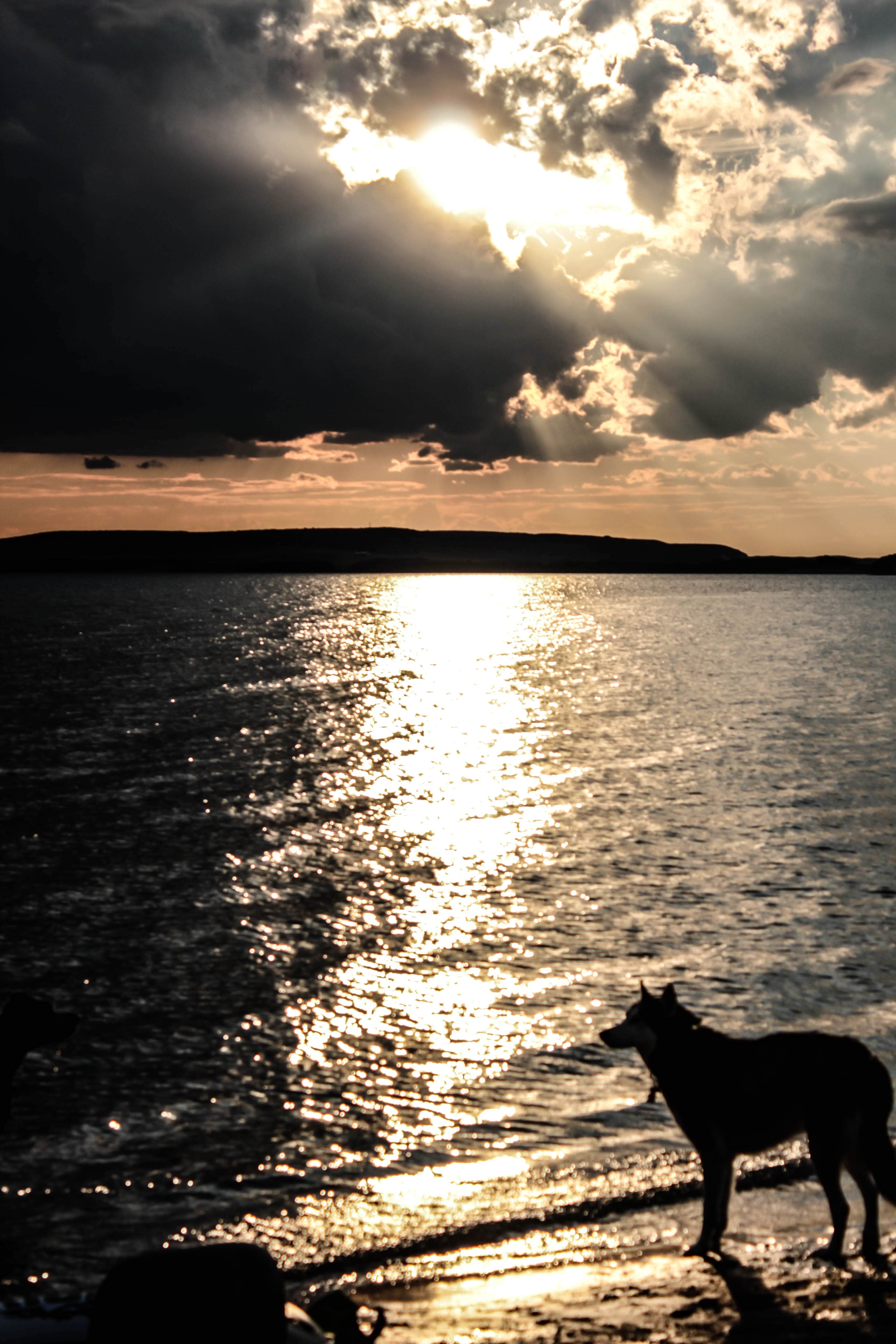 Camper-submitted photo at Sandy Beach Dune and Willow — Glendo State Park near Lingle, WY