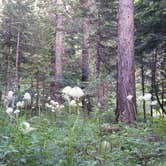 Review photo of Devils Elbow by Tori S., August 4, 2017