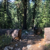 Review photo of Tahoe National Forest Sierra Campground by Reese F., September 3, 2019