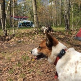Review photo of Reedsburg Dam State Forest Campground by Katrina M., September 3, 2019