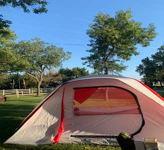 Camper-submitted photo from Salina KOA Holiday
