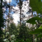 Review photo of Devils Elbow by Tori S., August 4, 2017