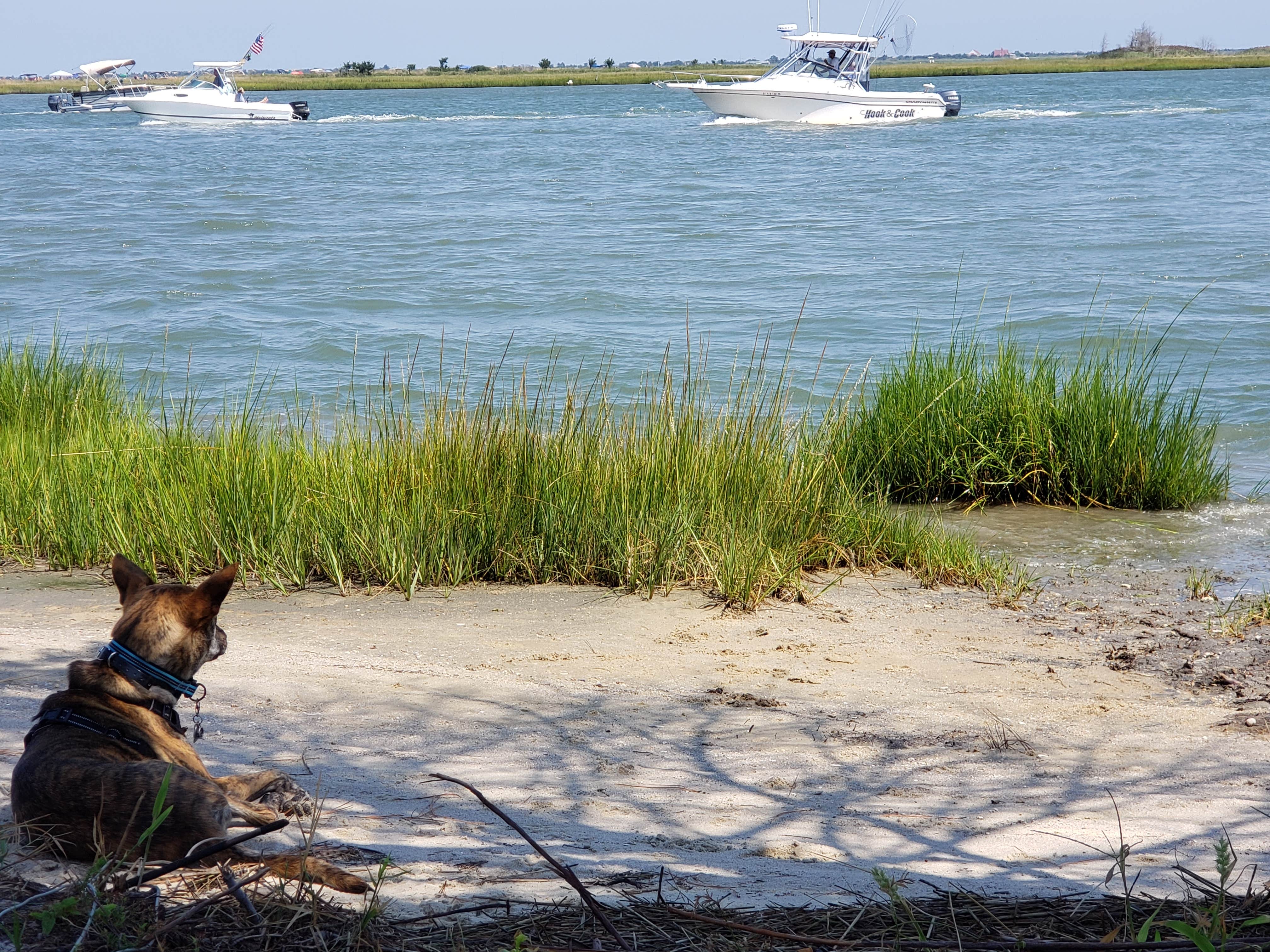 Camper-submitted photo at Sun Outdoors Rehoboth Bay near Millville, DE