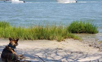 Richard V.'s photo of camping with pets at Sun Outdoors Rehoboth Bay near Seaford, DE