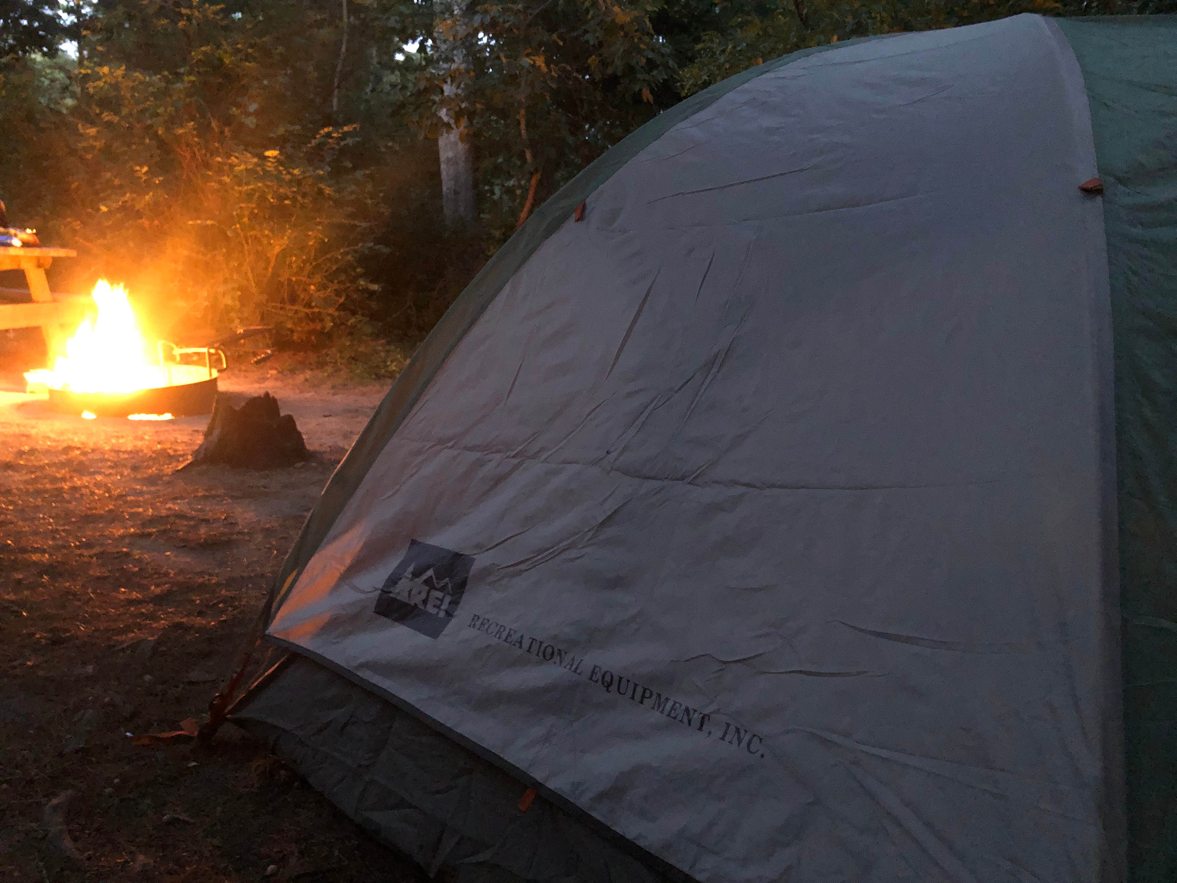 Nyssa L.'s photo at Nickerson State Park Campground near Chatham, MA