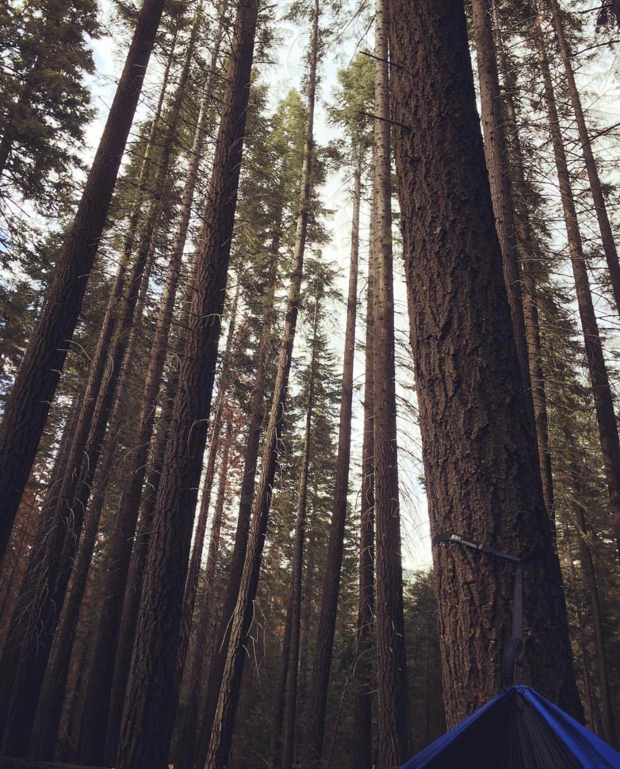 Camper submitted image from Little Yosemite Valley Campground - 2