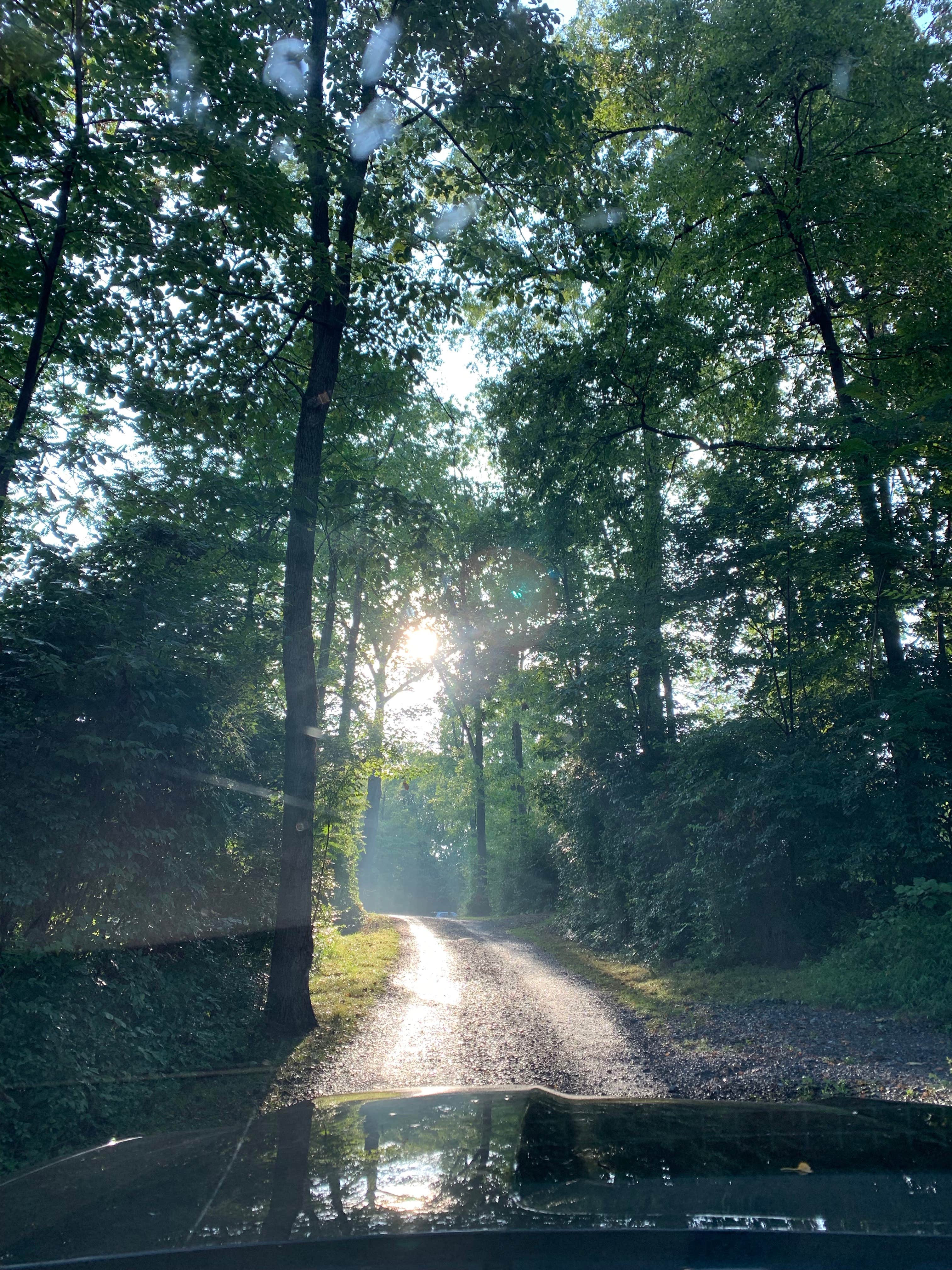 Camper-submitted photo at Starlite Camping Resort near Lineboro, MD