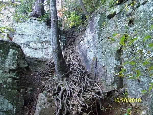 Camper submitted image from Desoto Falls - 1