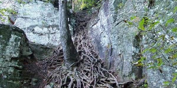 Camper submitted image from Desoto Falls