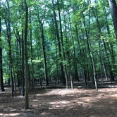Review photo of Lake Wateree State Park Campground by Ramona  K., September 3, 2019