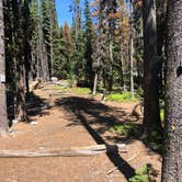 Review photo of Snow Lake Zone by Stephanie Z., September 3, 2019