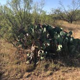 Review photo of Caprock Canyons State Park -  Honey Flat by Kelly B., September 3, 2019