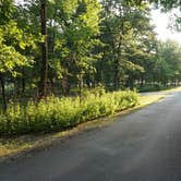 Review photo of COE Harry S Truman Reservoir Long Shoal Park by Daniel  B., August 4, 2017