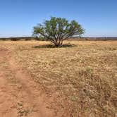 Review photo of Honey Flat Camping Area — Caprock Canyons State Park by Kelly B., September 3, 2019