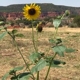 Review photo of Honey Flat Camping Area — Caprock Canyons State Park by Kelly B., September 3, 2019