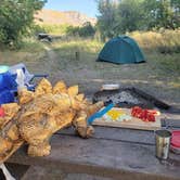 Review photo of Rainbow Park Campground — Dinosaur National Monument by Lis G., September 3, 2019