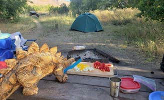 Lis G.'s photo at Rainbow Park Campground — Dinosaur National Monument near Dinosaur National Monument